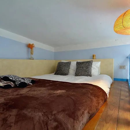Bajo El Volcan Rural Canaria Holiday home *